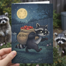 Waschbär stiehlt Herzen süße Valentinstage