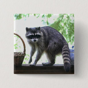 Waschbär-und Plätzchen-Glas Button