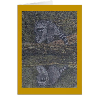 Waschbär und Reflexion