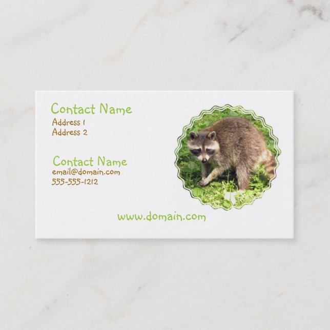 Waschbär-Visitenkarte Visitenkarte (Vorderseite)