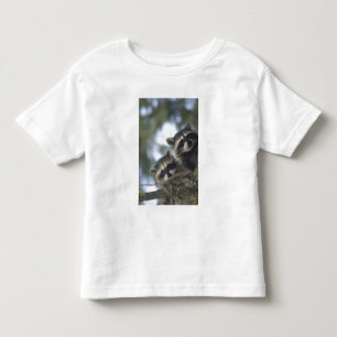Waschbären Procyon Lotor) vom Fish Lake, Zentral Kleinkind T-shirt