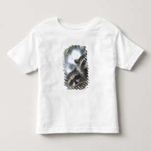 Waschbären Procyon Lotor) vom Fish Lake, Zentral Kleinkind T-shirt