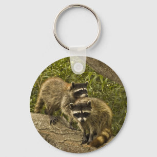 Waschbären Schlüsselanhänger