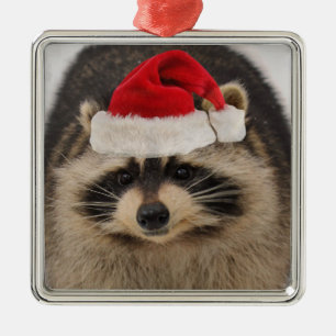 Waschbärsankt-Verzierung Silbernes Ornament