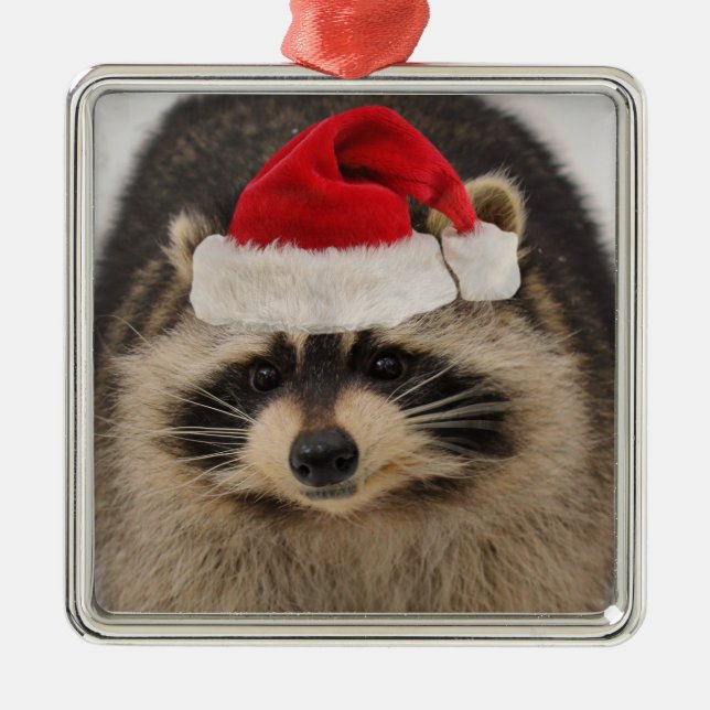 Waschbärsankt-Verzierung Silbernes Ornament (Vorne)