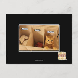 Wäschekatze Postkarte