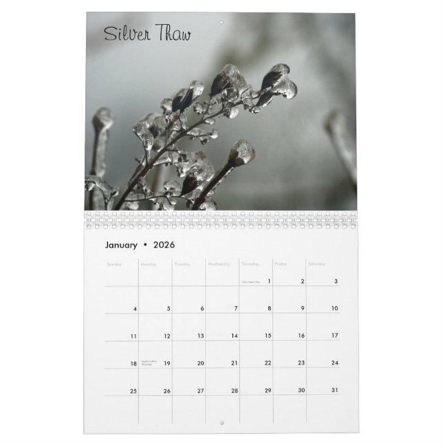 Waschender Staats-Kalender Kalender (Jan 2026)