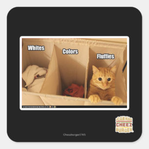 Wäscherei-Katze Quadratischer Aufkleber