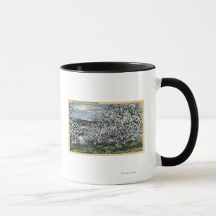Washington - Ansicht von Apfelbäumen in der Blüte Tasse