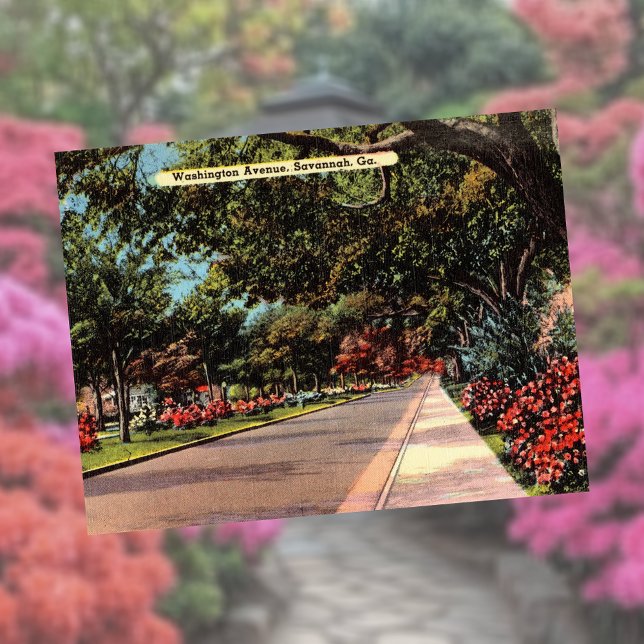 Washington Avenue Savannah GA historisch Postkarte (Von Creator hochgeladen)