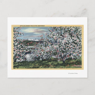 Washington - Blick auf die Apfelbäume in Blossom Postkarte