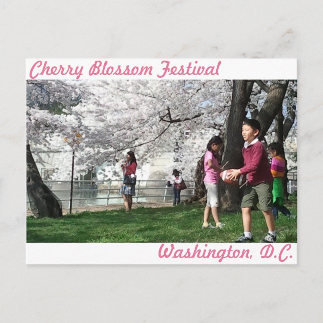 Washington, D.C. Cherry Blossom Postkarte (Vorderseite)