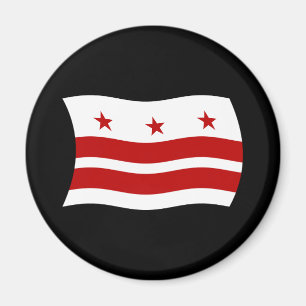 Washington D.C. Flag Magnet