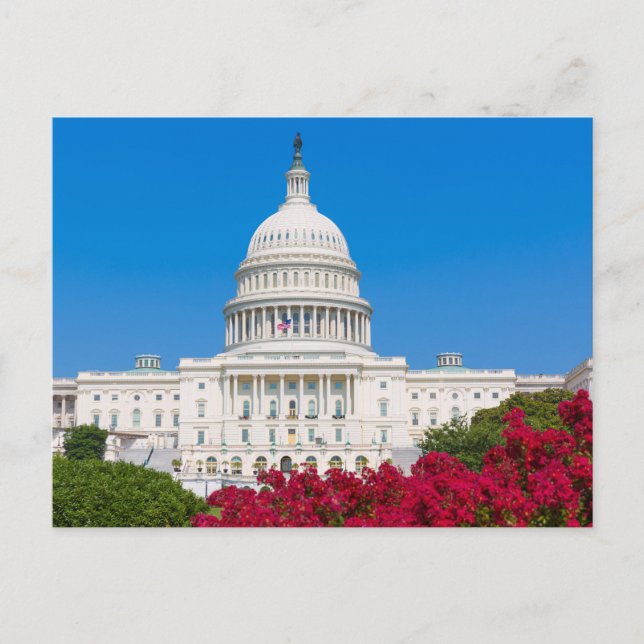 Washington D.C. Postkarte (Vorderseite)