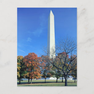 WASHINGTON, D.C. USA Aufstieg zum Washington Monum Postkarte