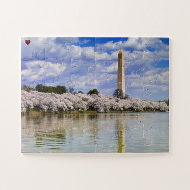 Washington DC (Horizontal)