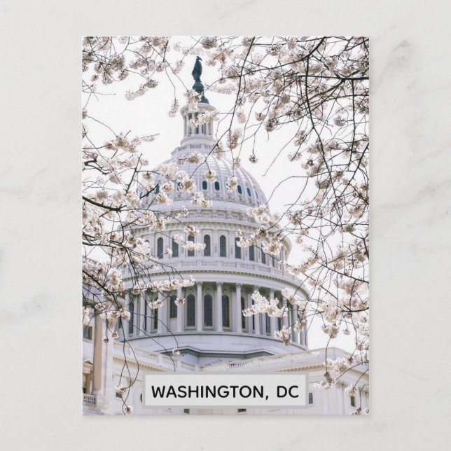 Washington DC Cheroms Travel Foto Postkarte (Vorderseite)