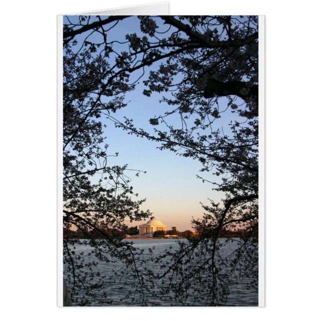 Washington DC Cherry Blossom (Devant)