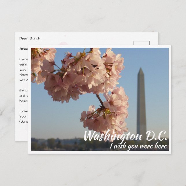 Washington DC Jefferson Memorial mit Cherry Tree Postkarte (Vorne/Hinten)