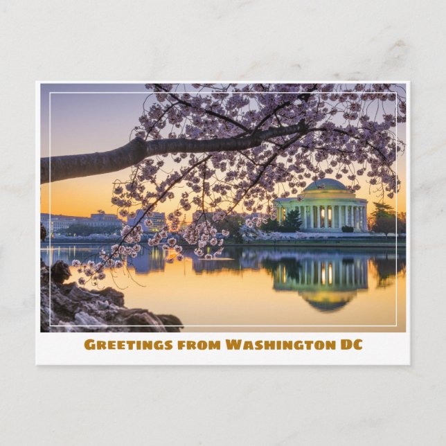 Washington DC Jefferson Memorial w Cherry Branch Postkarte (Vorderseite)