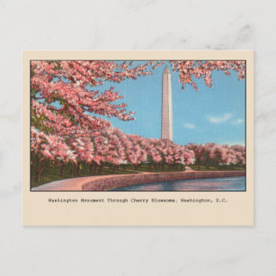 Washington DC Monument Kirsche Blüten Postkarte