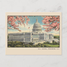 Washington DC Postcard US Hauptstadt Kirschblüten