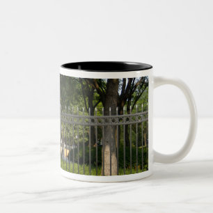 Washington, DC, Statue von George Washington, Zweifarbige Tasse