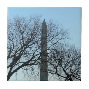 Washington Denkmal im Winter I Landschaft Fliese