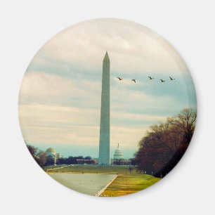 Washington-Denkmalvögel Magnet
