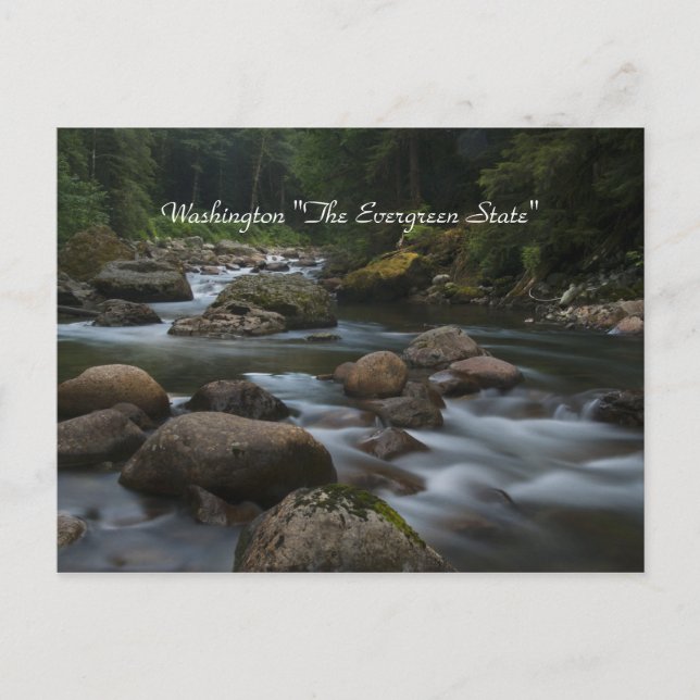 Washington "Der Evergreen Staat" Postkarte (Vorderseite)