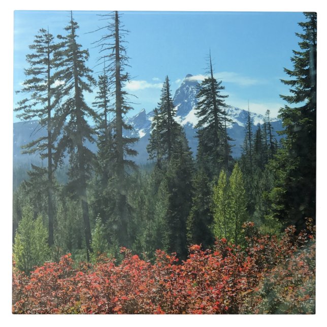Washington im Herbst, OR Fliese (Vorderseite)