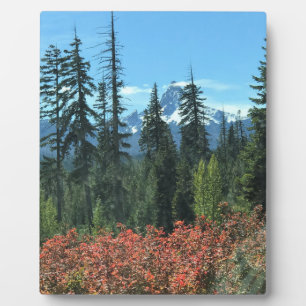 Washington im Herbst, OR Fotoplatte