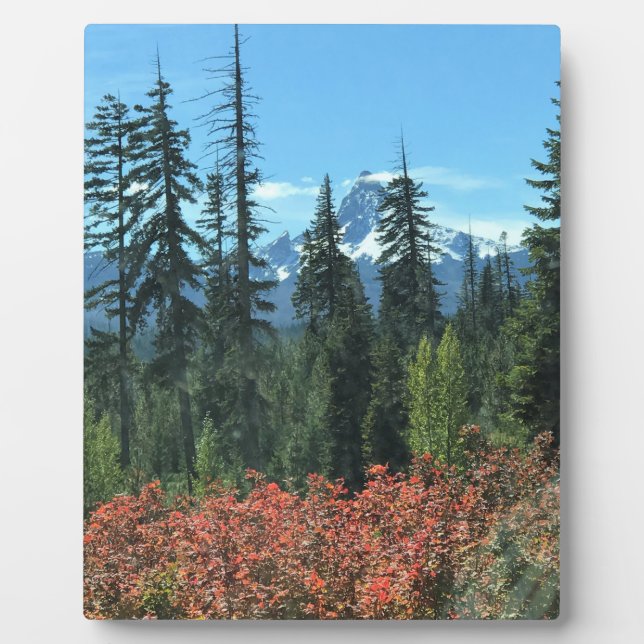 Washington im Herbst, OR Fotoplatte (Vorderseite)