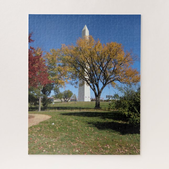 Washington Monument and Fall Trees (Vertikal)