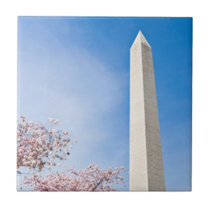 Washington Monument Fliese