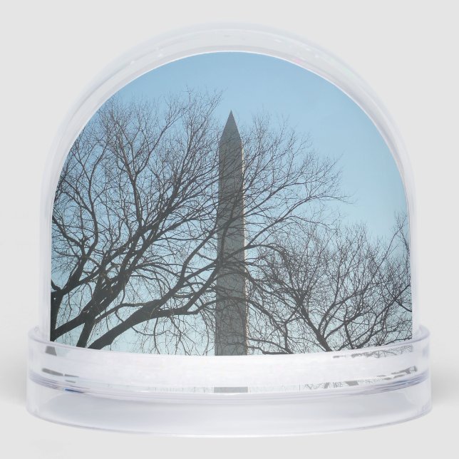 Washington Monument in Winter I Landscape (Avant)