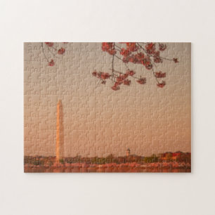 Washington-Monument Kirschblüte am Sonnenuntergan