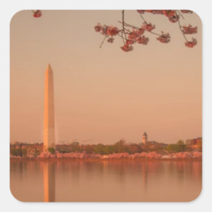 Washington-Monument Kirschblüte am Sonnenuntergan Quadratischer Aufkleber
