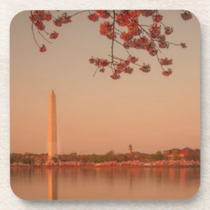 Washington-Monument Kirschblüte am Sonnenuntergan Untersetzer