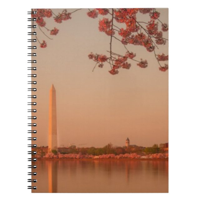 Washington-Monument Kirschblüte am Sonnenuntergang Notizblock (Vorderseite)