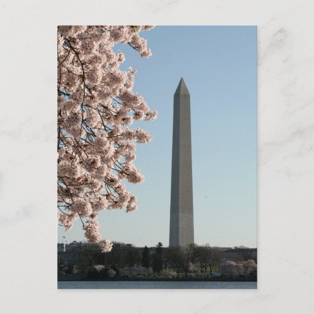 Washington Monument Postkarte (Vorderseite)