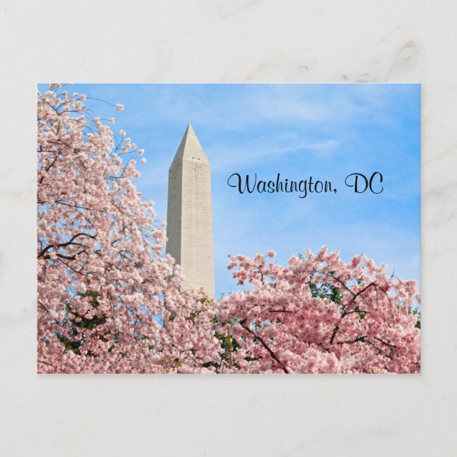 Washington Monument Postkarte (Vorderseite)