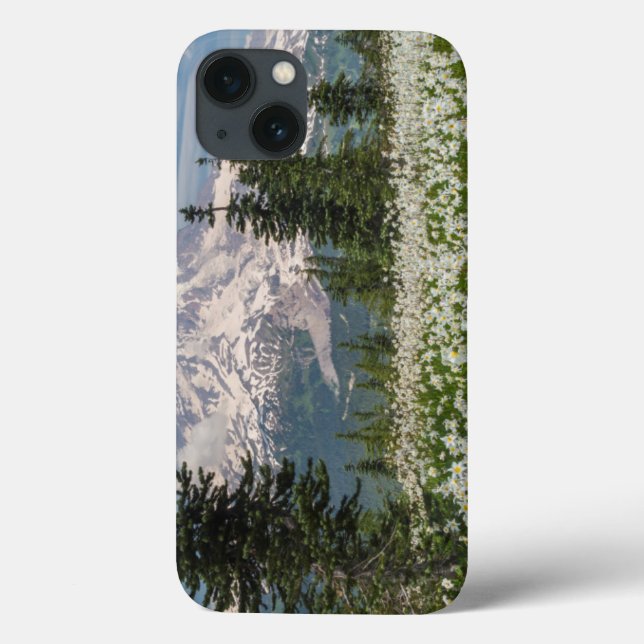 Washington, Mount Rainier National Park 1 Case-Mate iPhone Hülle (Rückseite)