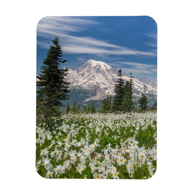 Washington, Mount Rainier Nationalpark 1 Magnet (Vertikal)