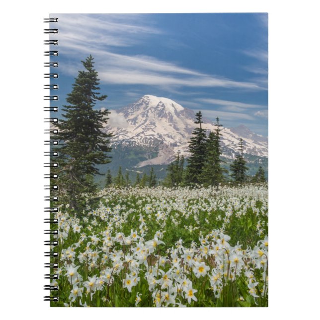 Washington, Mount Rainier Nationalpark 1 Notizblock (Vorderseite)