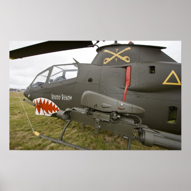 Washington, Olympia, Militärairshow. 8 Poster (Vorne)