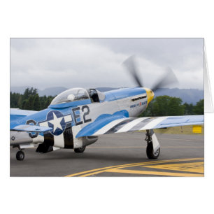 Washington, Olympia,  Militärflugschau.