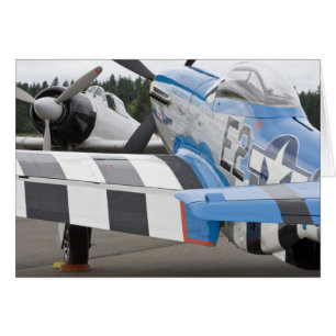 Washington, Olympia, Militärflugschau. 4