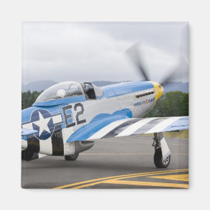 Washington, Olympia,  Militärflugschau. Magnet