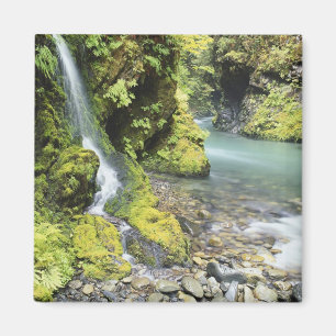 Washington, Olympic-Nationalpark, Saisonal Magnet